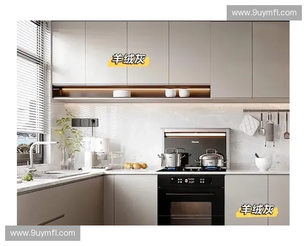 最新橱柜样式图片大全精选打造高颜值实用厨房设计灵感合集