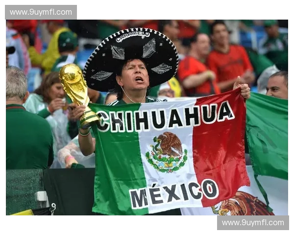 墨西哥足球联赛体系解析及各级联赛数量简介